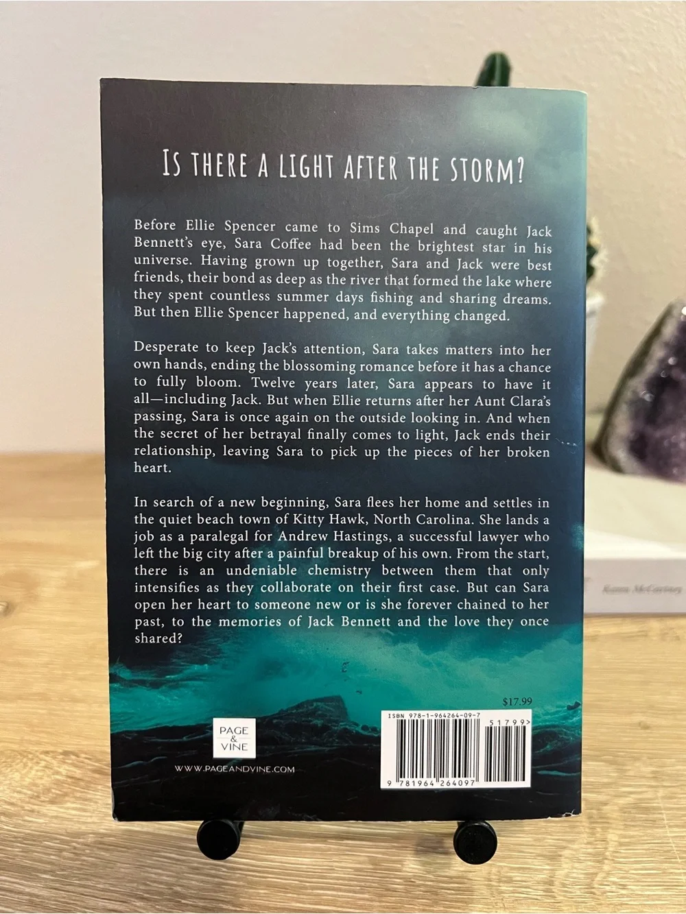 A Thousand Distant Shores Buck Turner Paperback 2025 Contemporary Romance